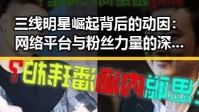三线明星崛起背后的动因:网络平台与粉丝力量的深层解读