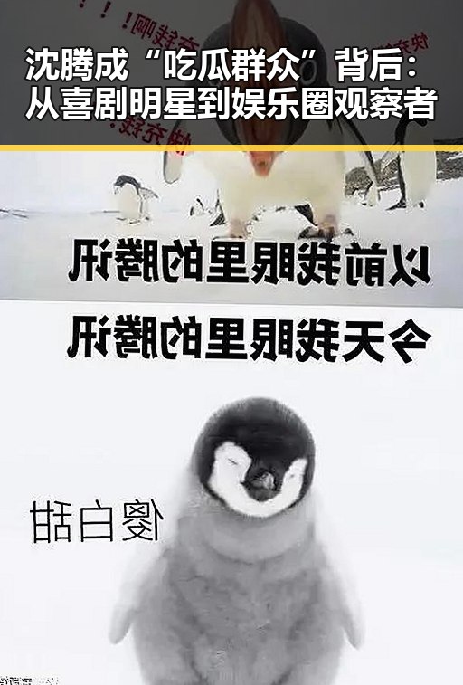 沈腾成“吃瓜群众”背后：从喜剧明星到娱乐圈观察者